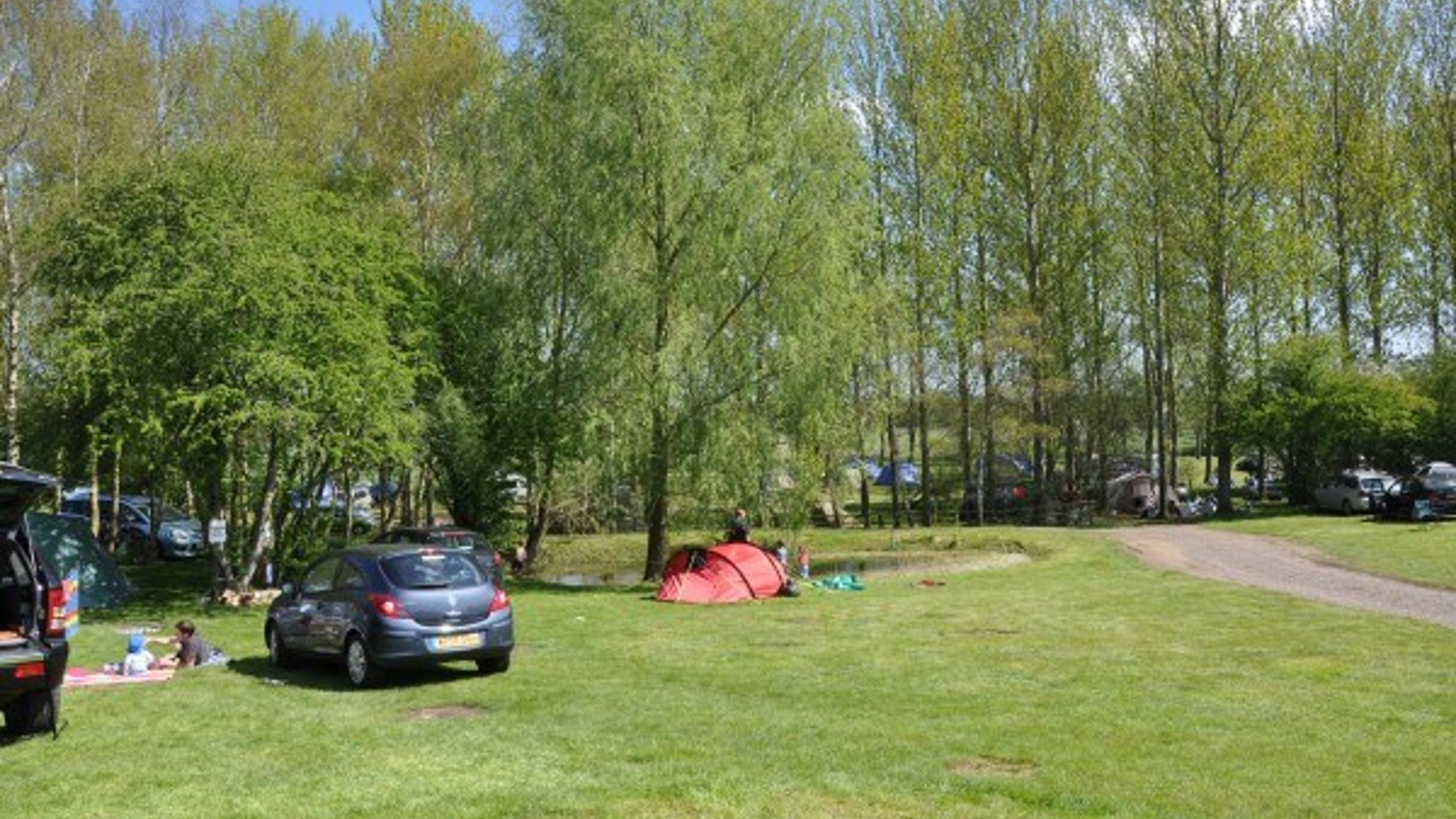 The Orchard Campsite