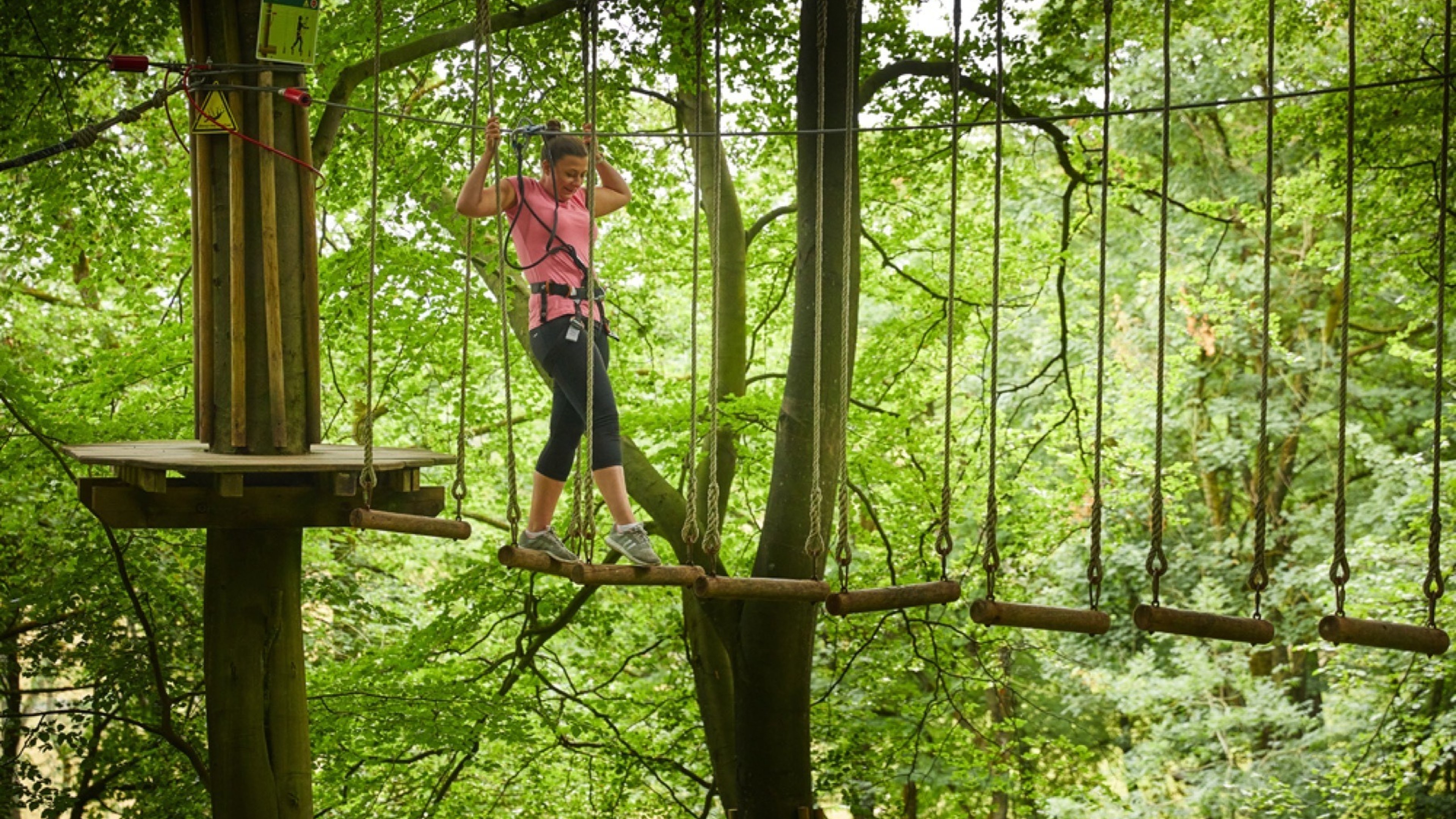 Go Ape in Delamere Forest Park