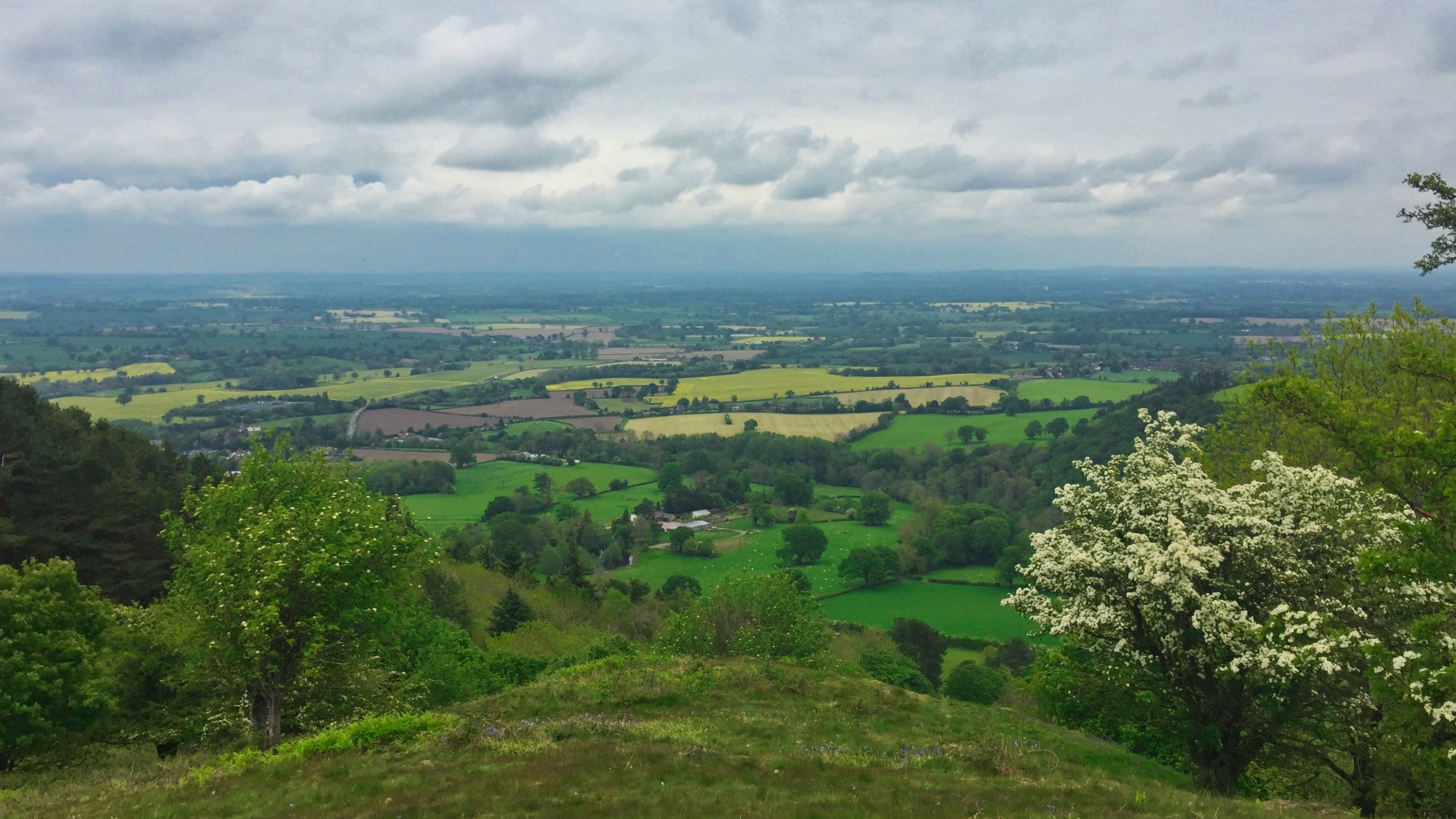 2 Hills and 2 Hill Forts: Pontesford and Earl's Hill Walk in Shropshire