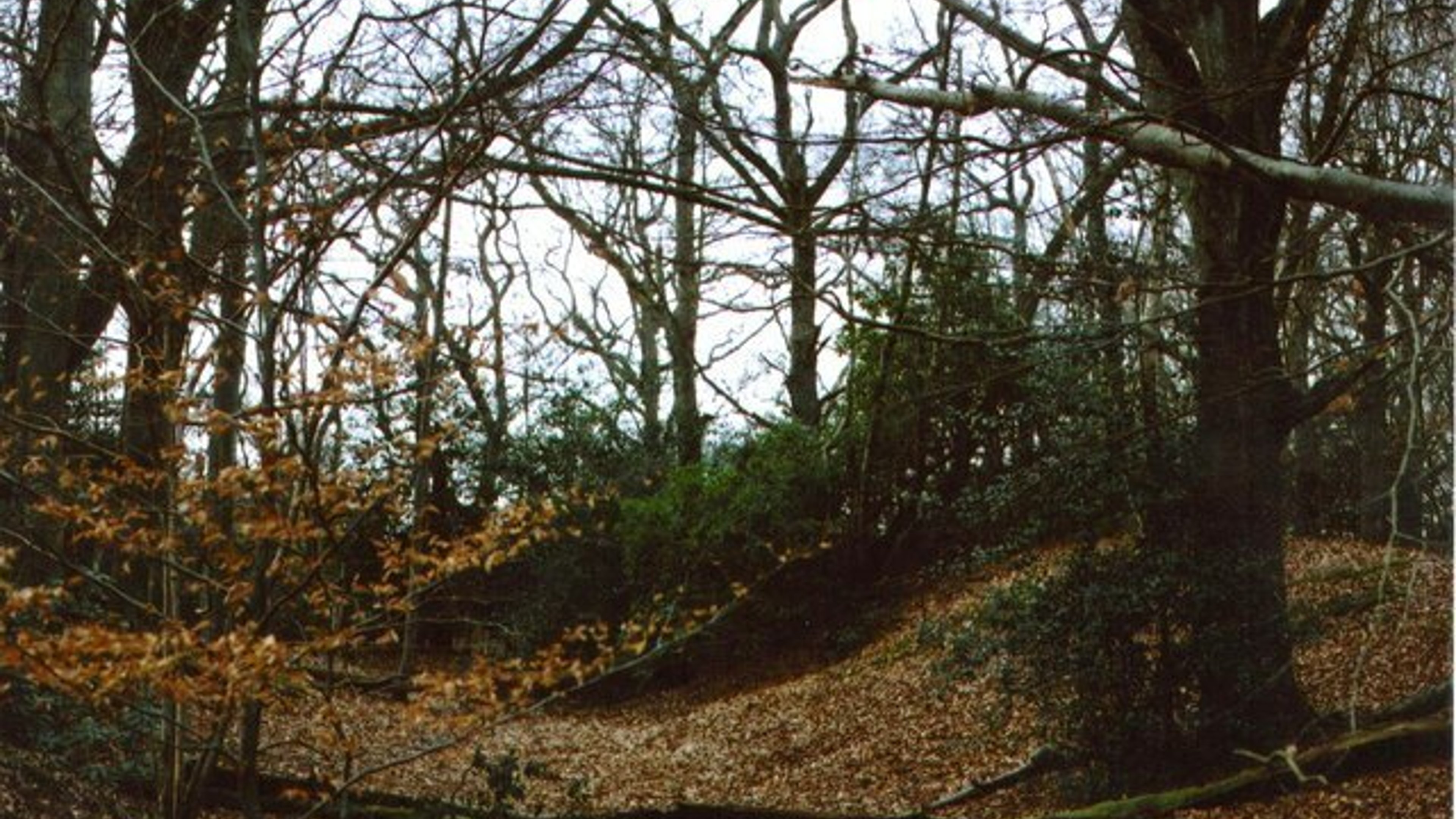 Grimsbury Castle - West Berkshire 3 Peaks Hiking Challenge