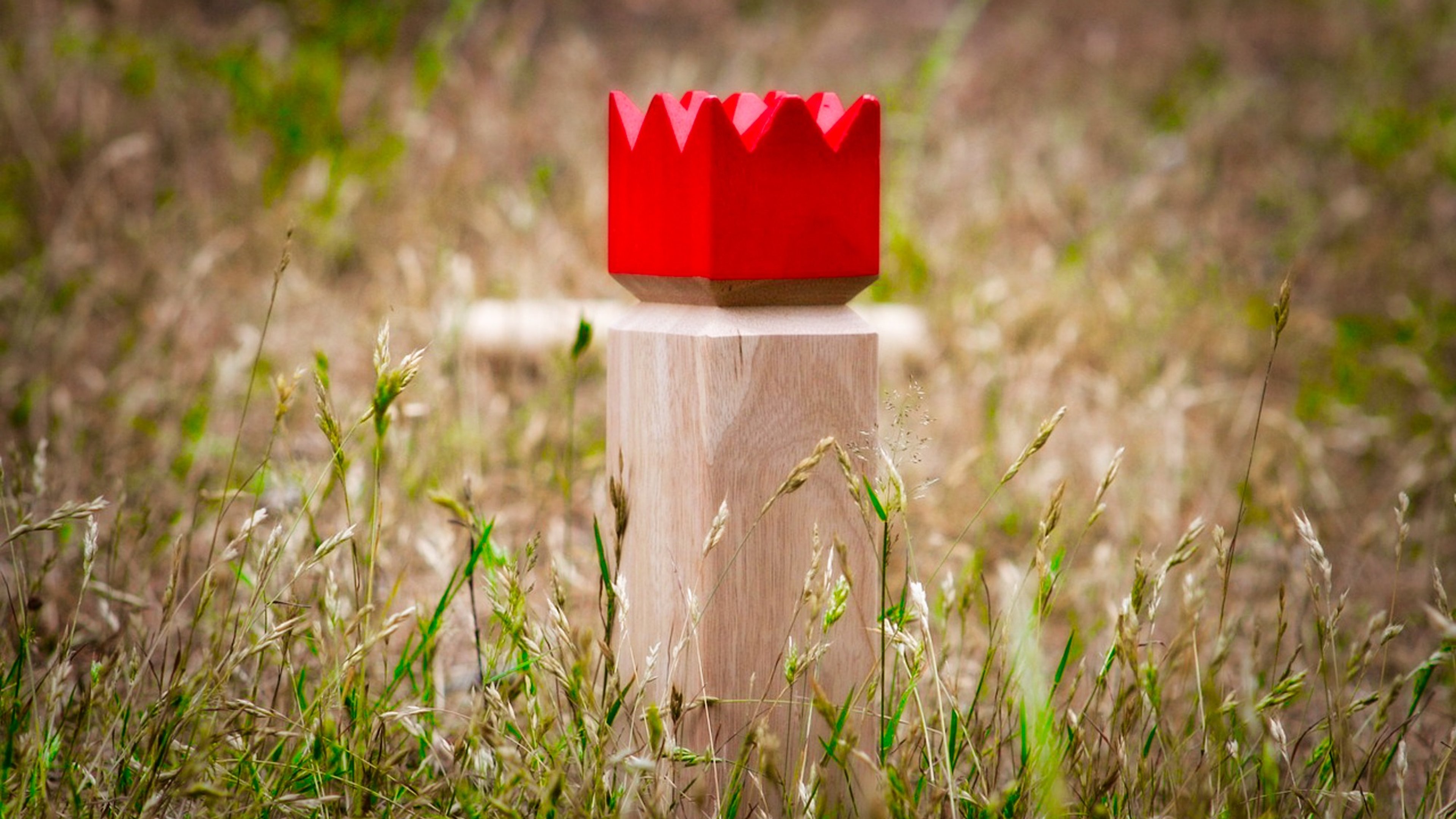 A Kubb King