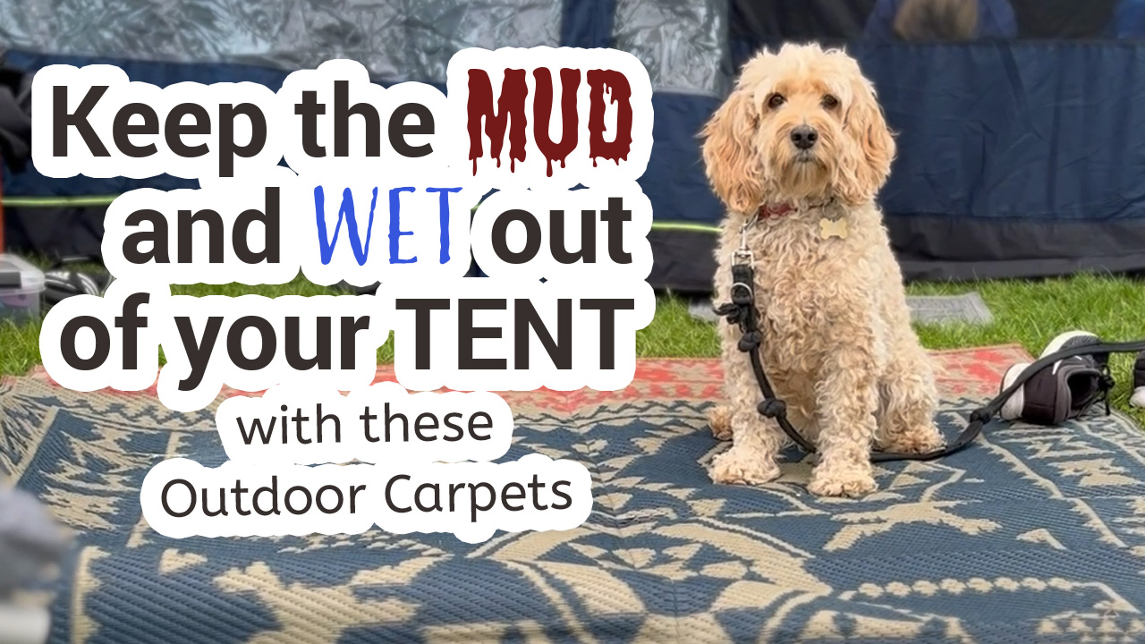 Dog sitting on an Easy Camp Moonlight Carpet outside of the tent's entrance