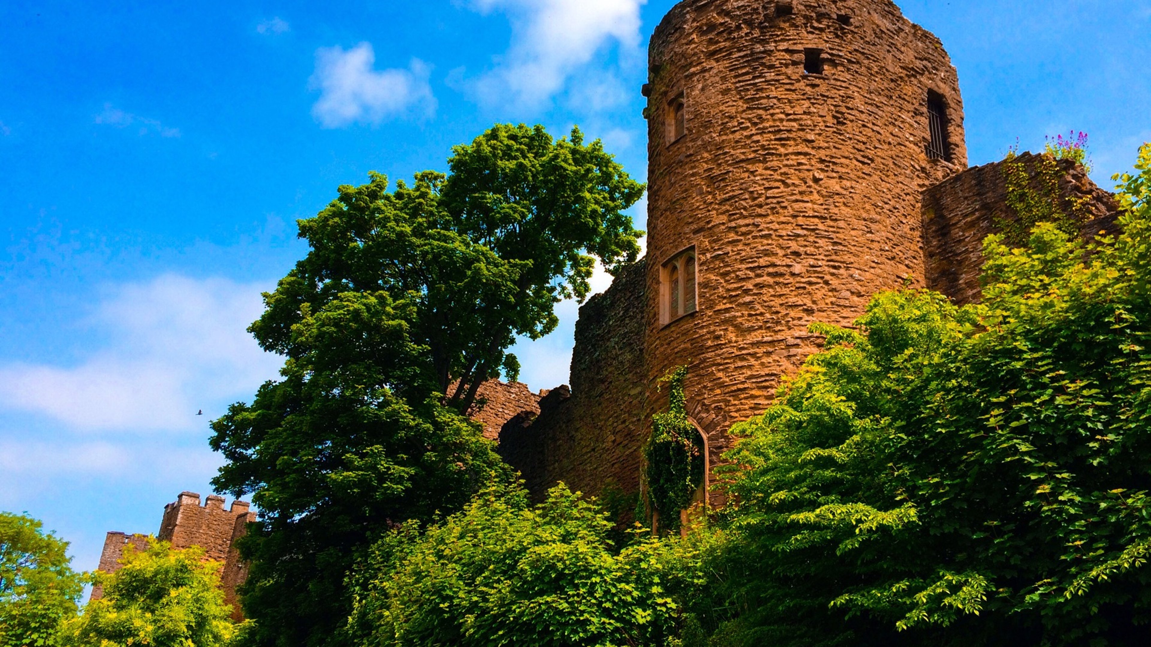 A tower at Ludlow Castle