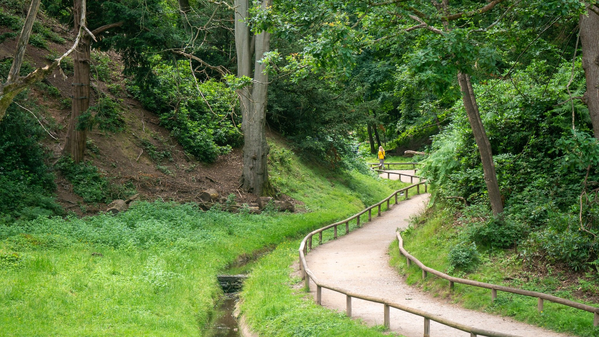 Explore the Monkey Forest in Staffordshire (yes, Staffordshire)