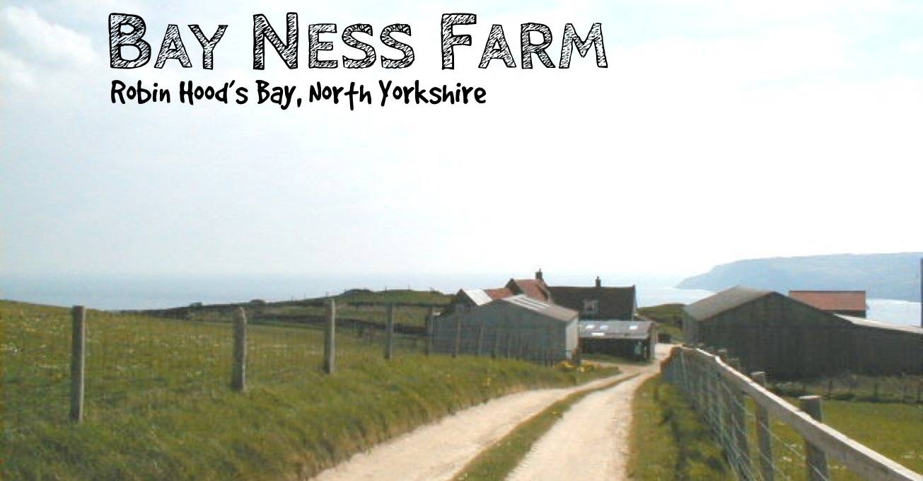 Bay Ness Farm