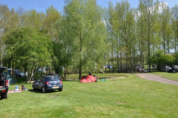 The Orchard Campsite