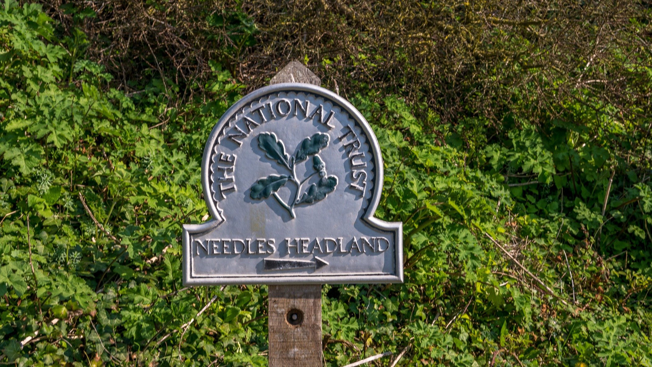The Needles Headland Walk