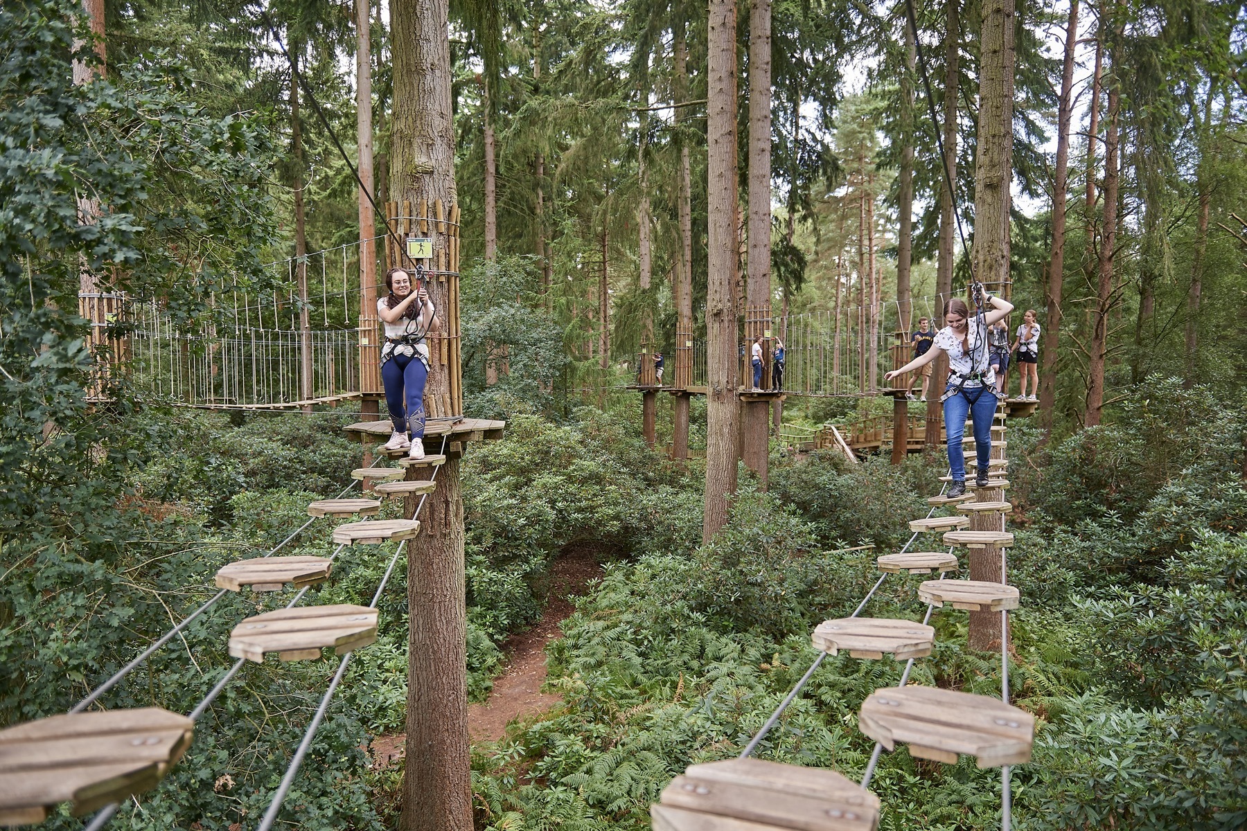 Go Ape in Thetford Forest
