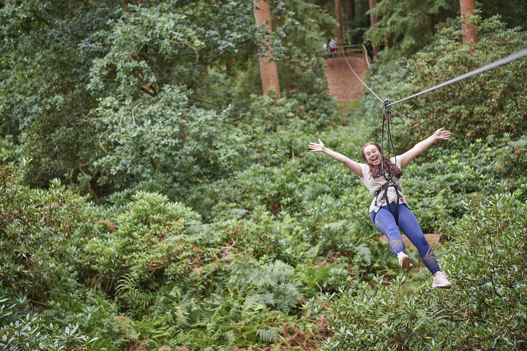Go Ape in Thetford Forest