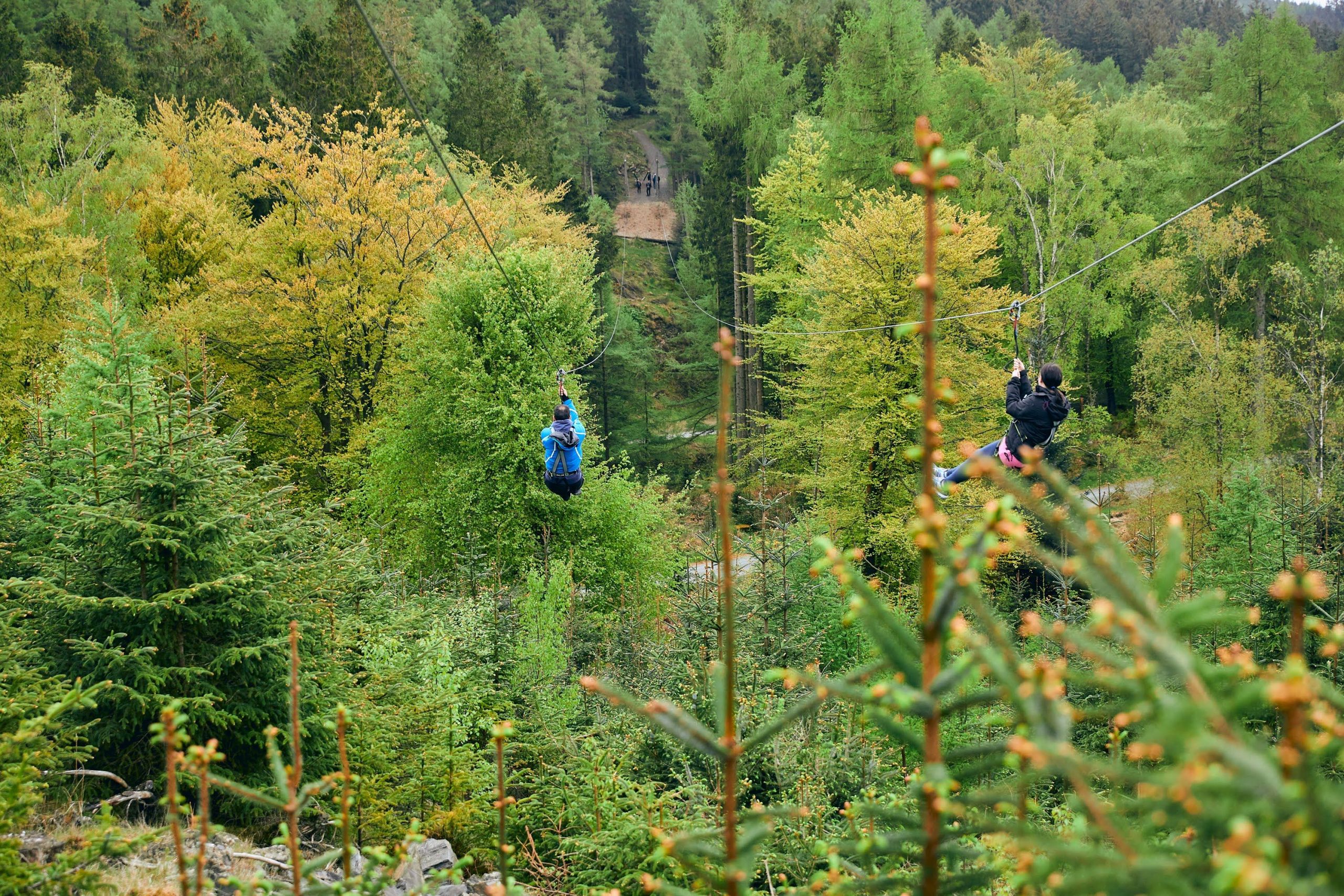 Go Ape in Grizedale Forest