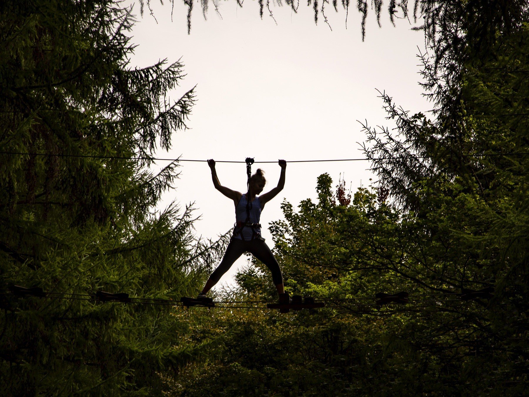 Go Ape at Dalby Forest