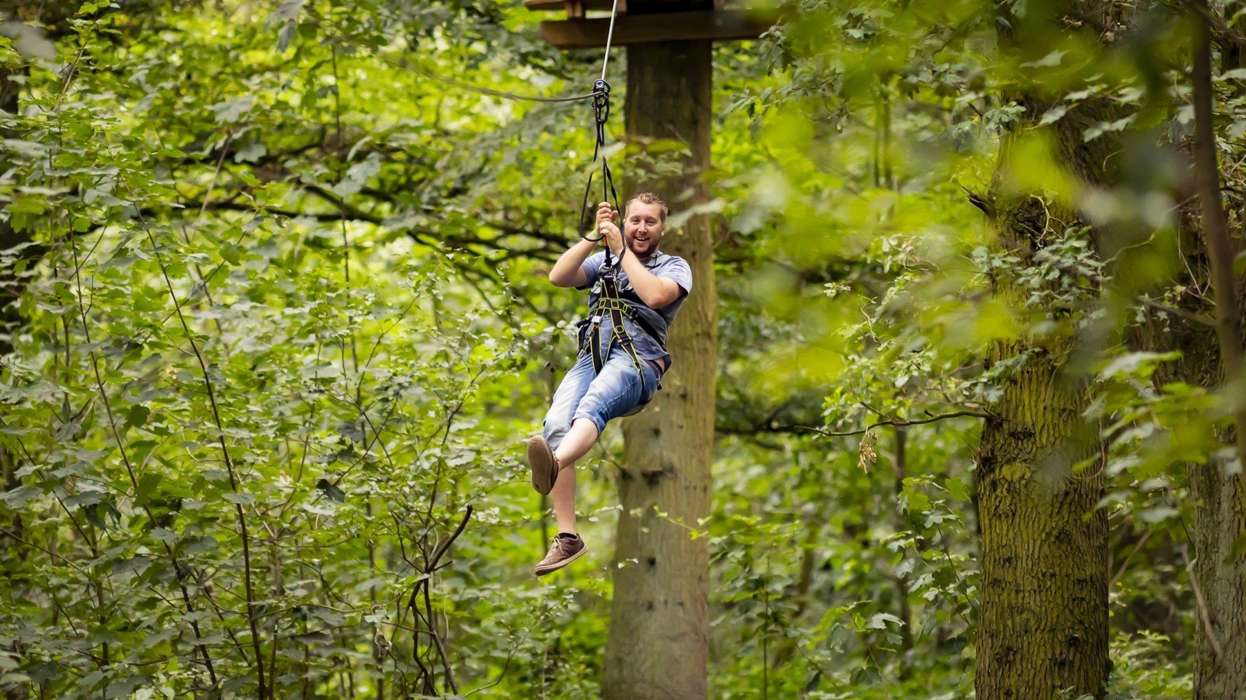 Go Ape at Normanby Hall