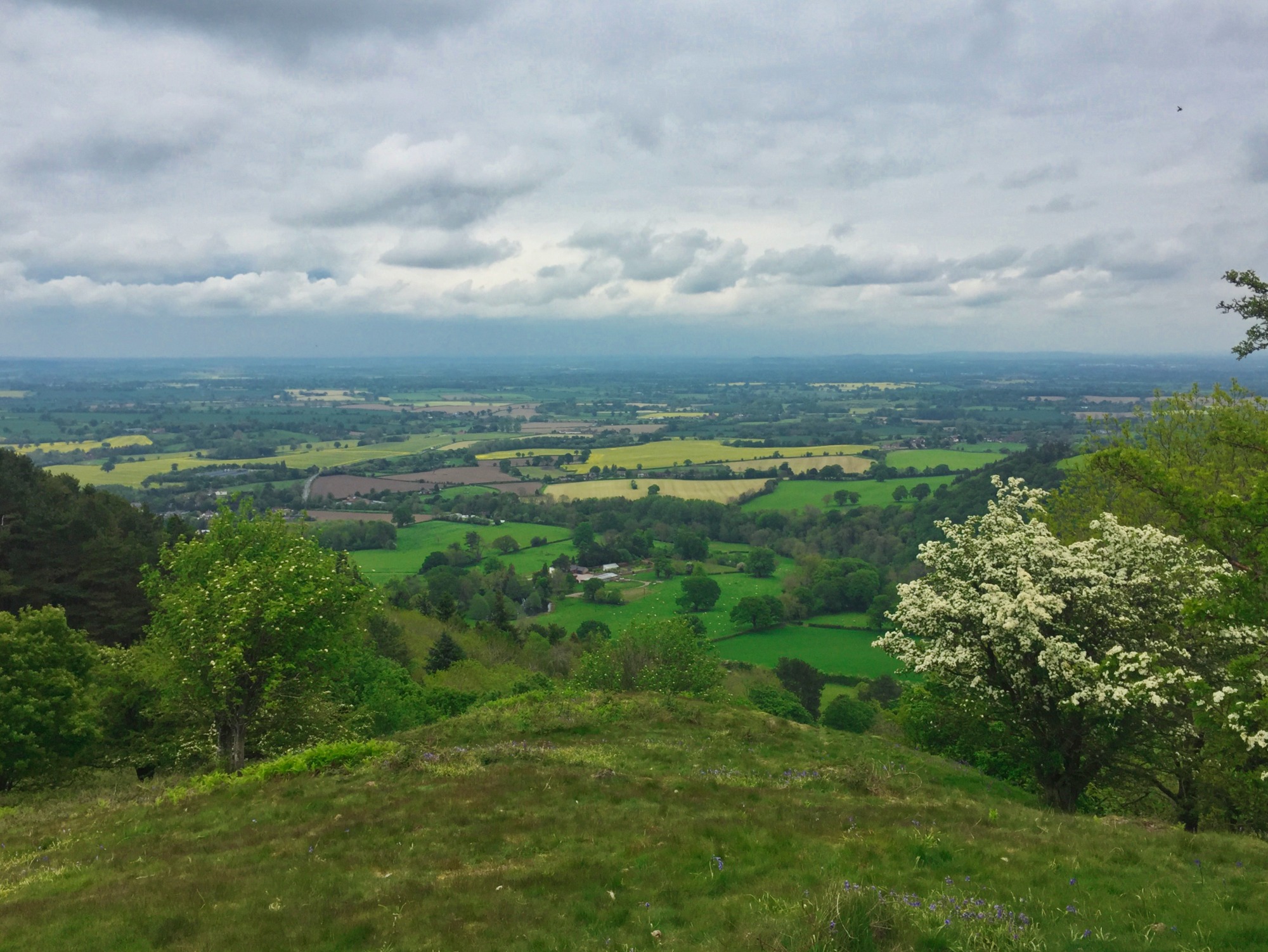 2 Hills and 2 Hill Forts: Pontesford and Earl's Hill Walk in Shropshire