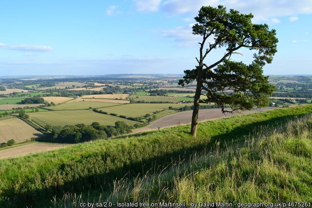 Martinsell Hill - Wiltshire 3 Peaks Hiking Challenge