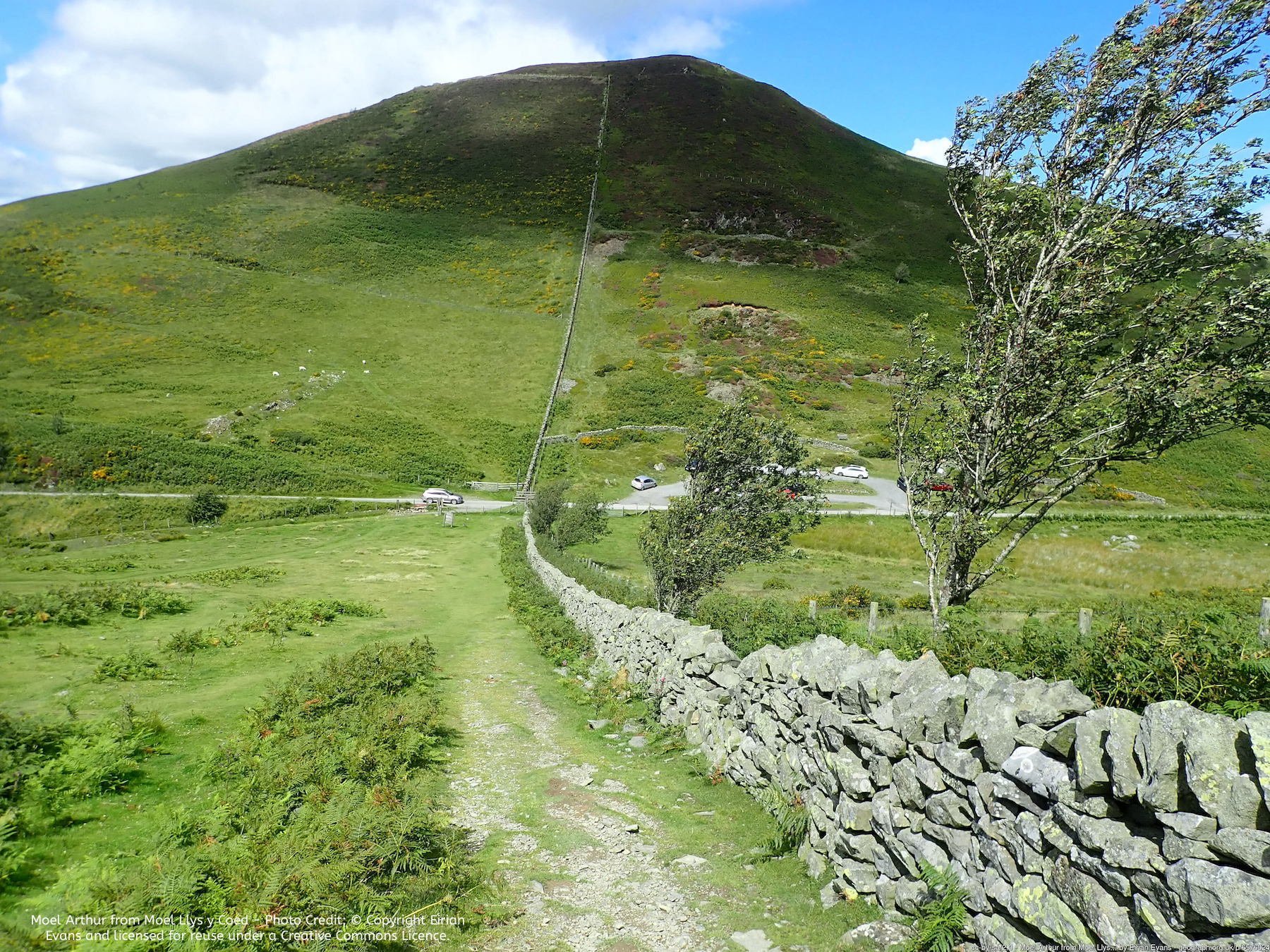Moel Arthur - Flintshire (Sir Fflint) 3 Peaks Hiking Challenge