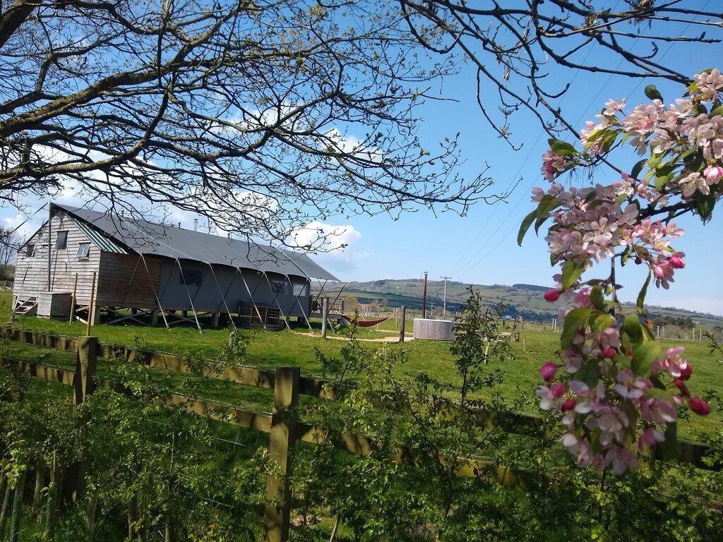 Middle Stone Farm Glamping