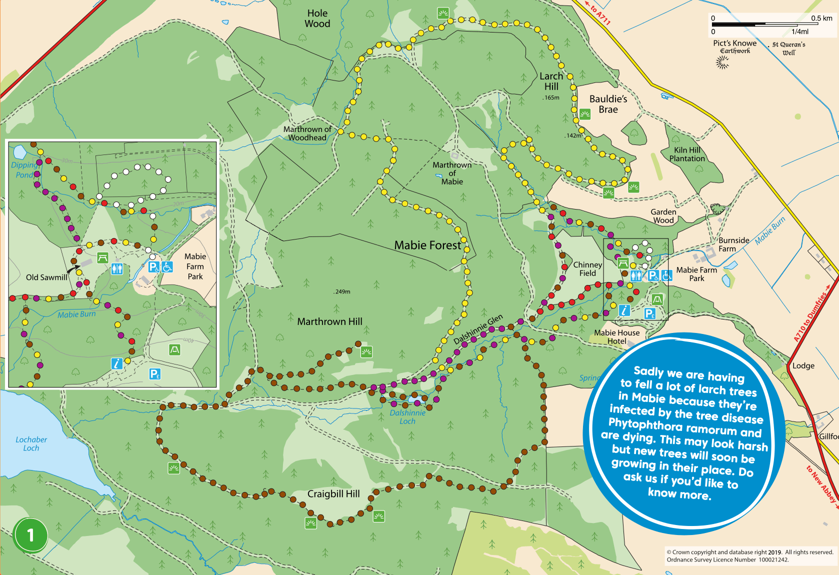 Dalbeattie Forest Trails and 7stanes Mountain Biking Route Map