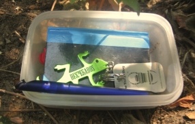A traditional cache containing a travelbug