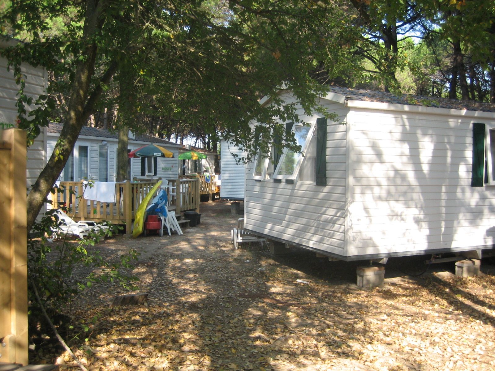 Our caravan under the trees
