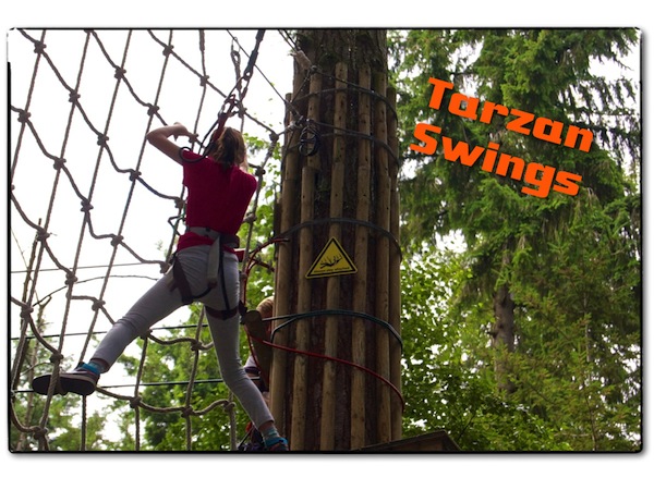 Go Ape Tarzan Swings