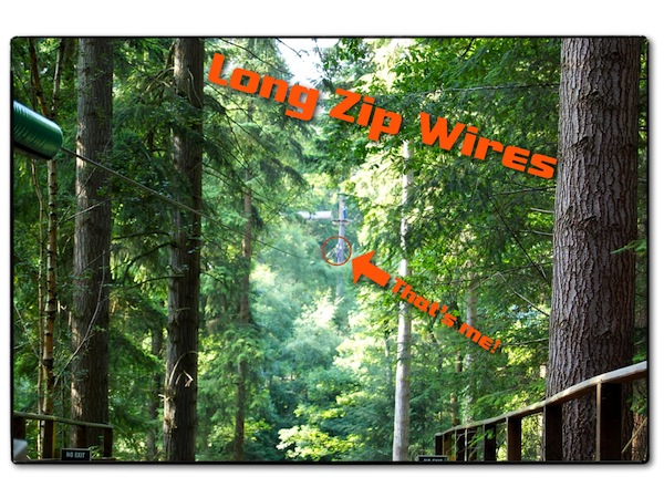 Go Ape Zip Wires