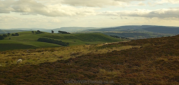 The Long Mynd range of hills in Shropshire: moorland, grassland, and forests. Great for family hikes.