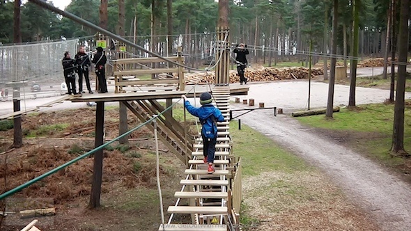 Walking up high at Go Ape's Tree Top Junior
