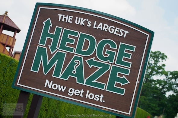 Get lost in the giant maze