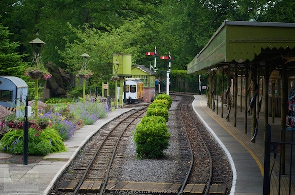 Station for the Jungle Express