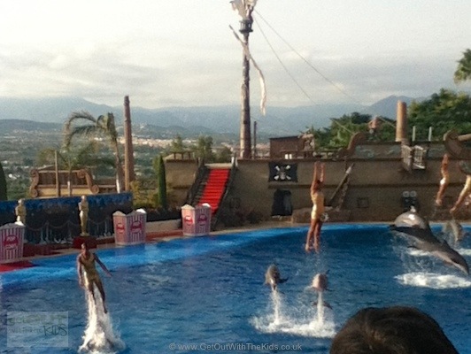 Dolphin show at Mundo Mar