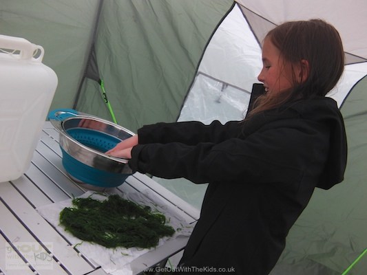 Washing the seaweed