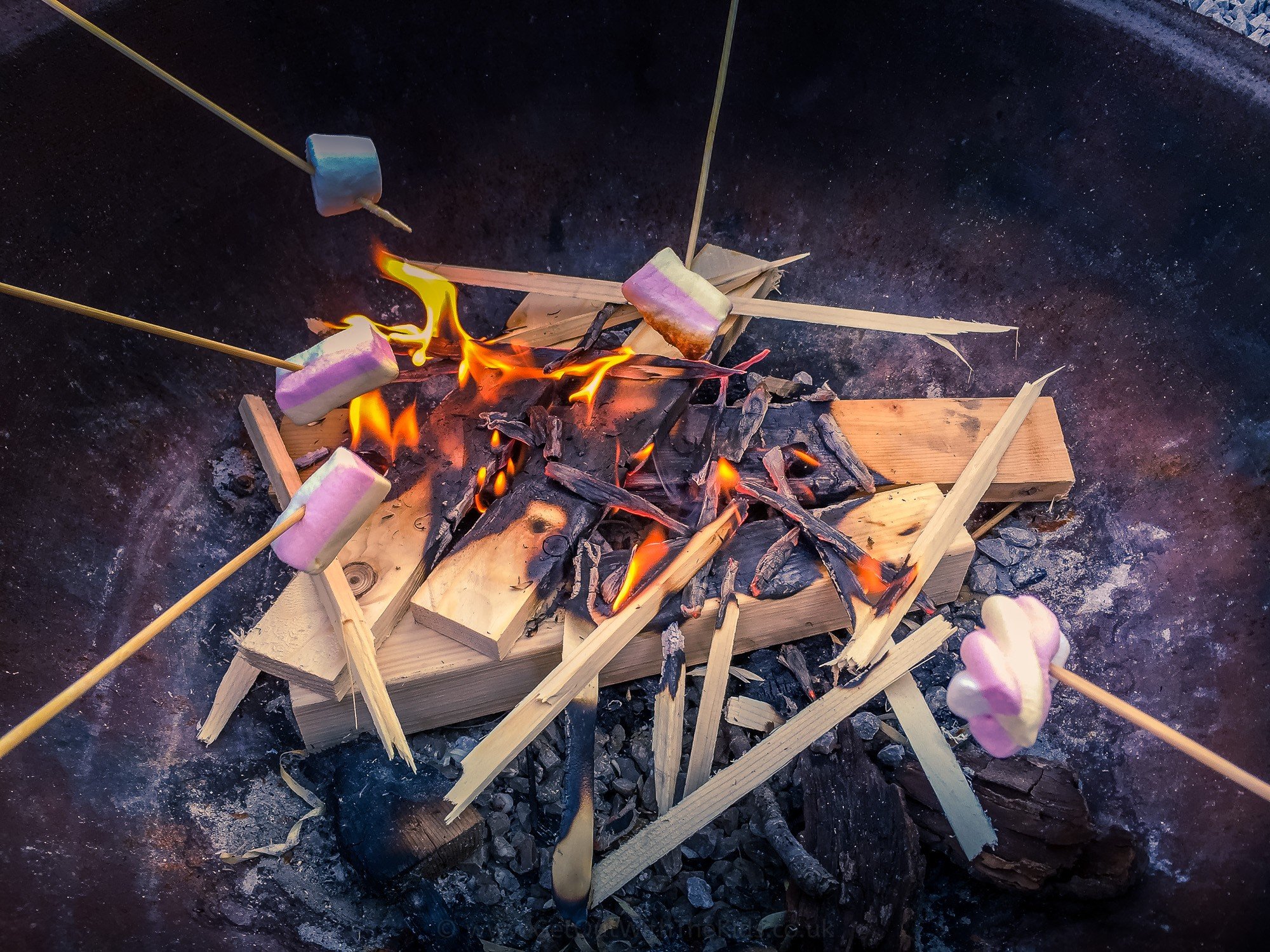 Toasting Marshmallows (for Gulliver&#8217;s Campers)