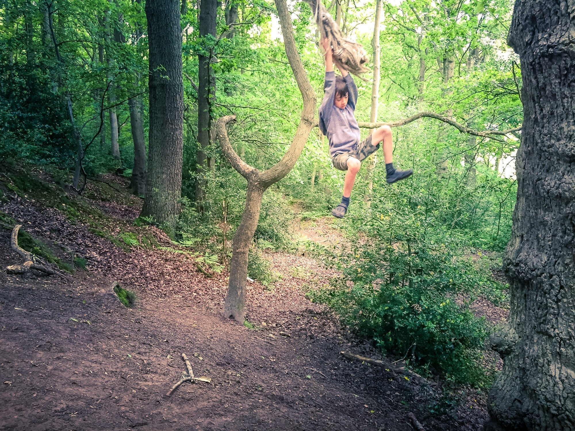  Enjoying the rope swing in the woods.