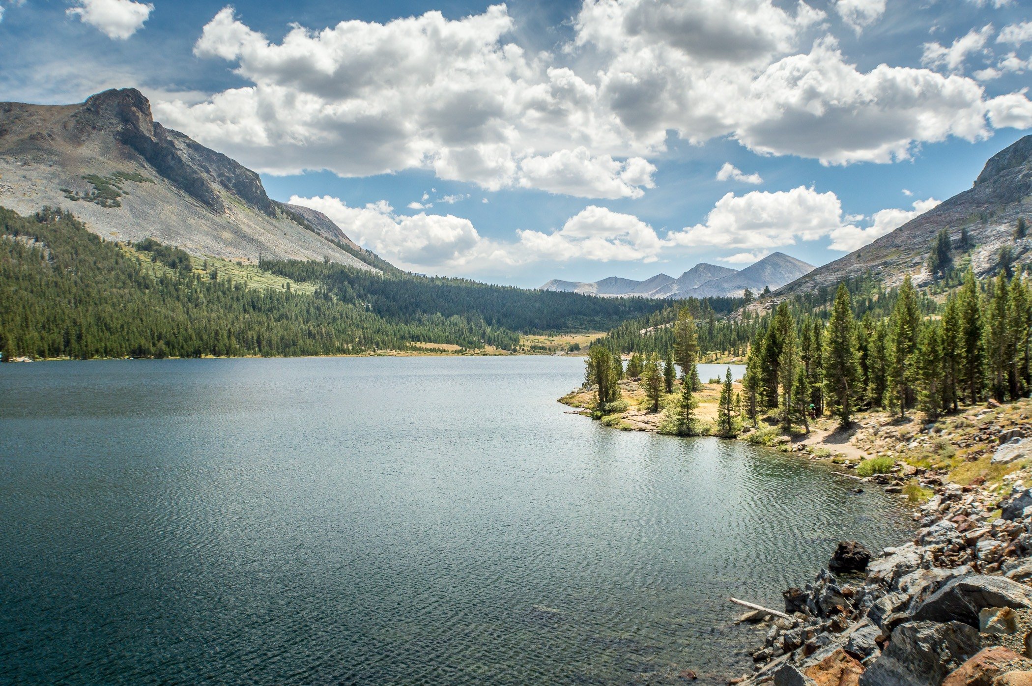 View of Ellery Lake on the Tioga Pass