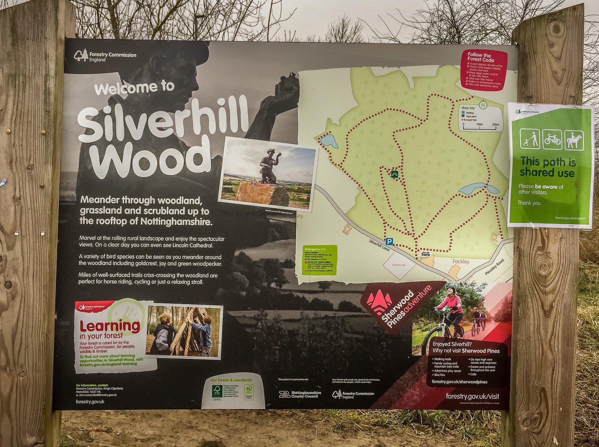 Silverhill Wood