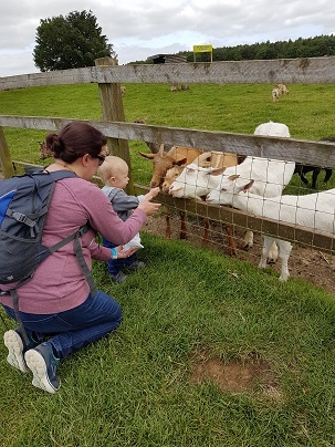 Toddlers at the farm