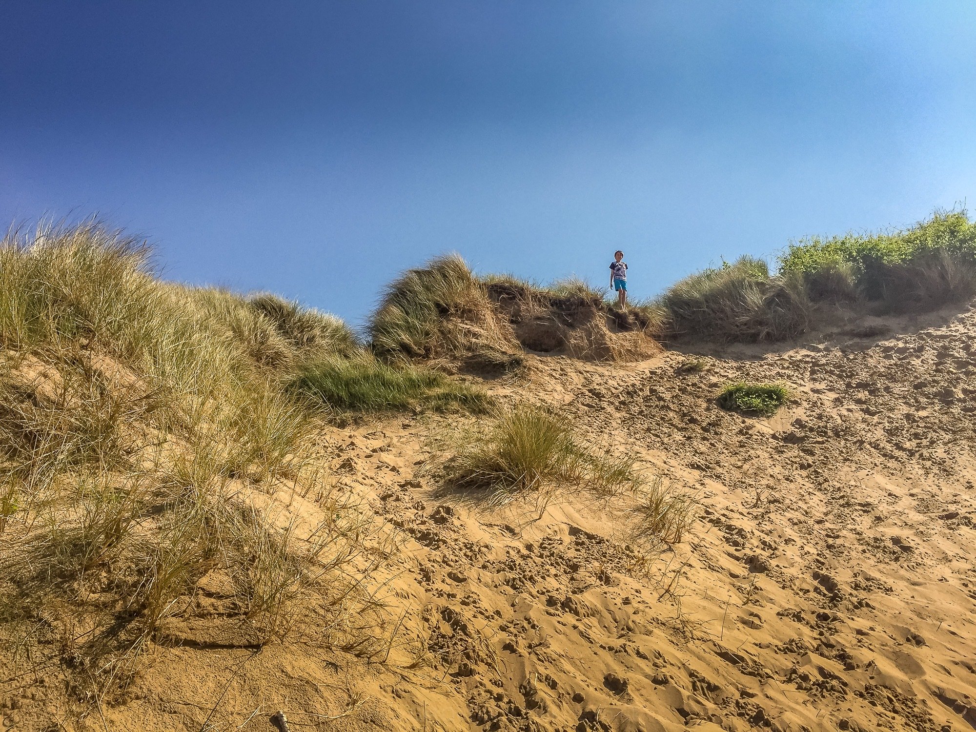 Sand dunes at Presthaven
