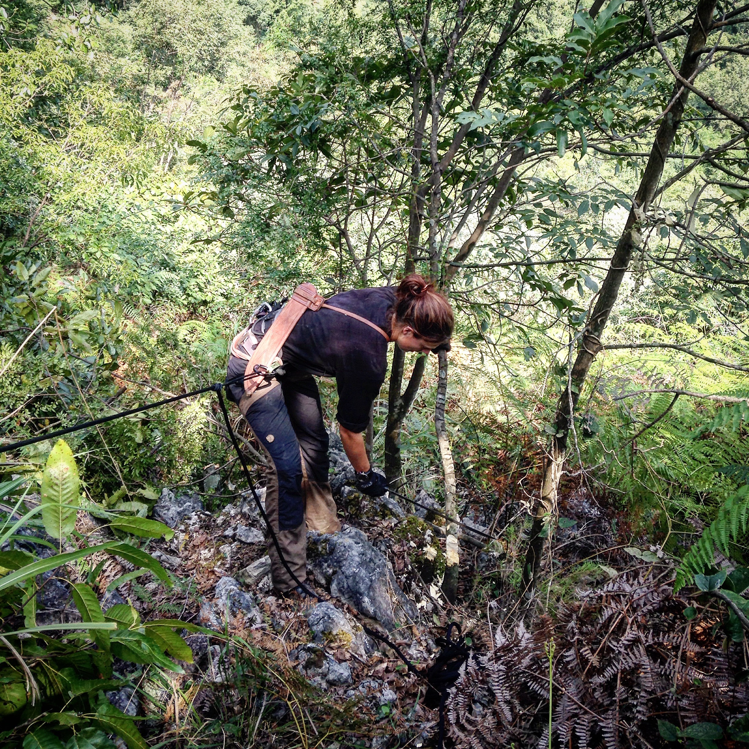 Meg cutting a tree on a steep slope in the jungle
