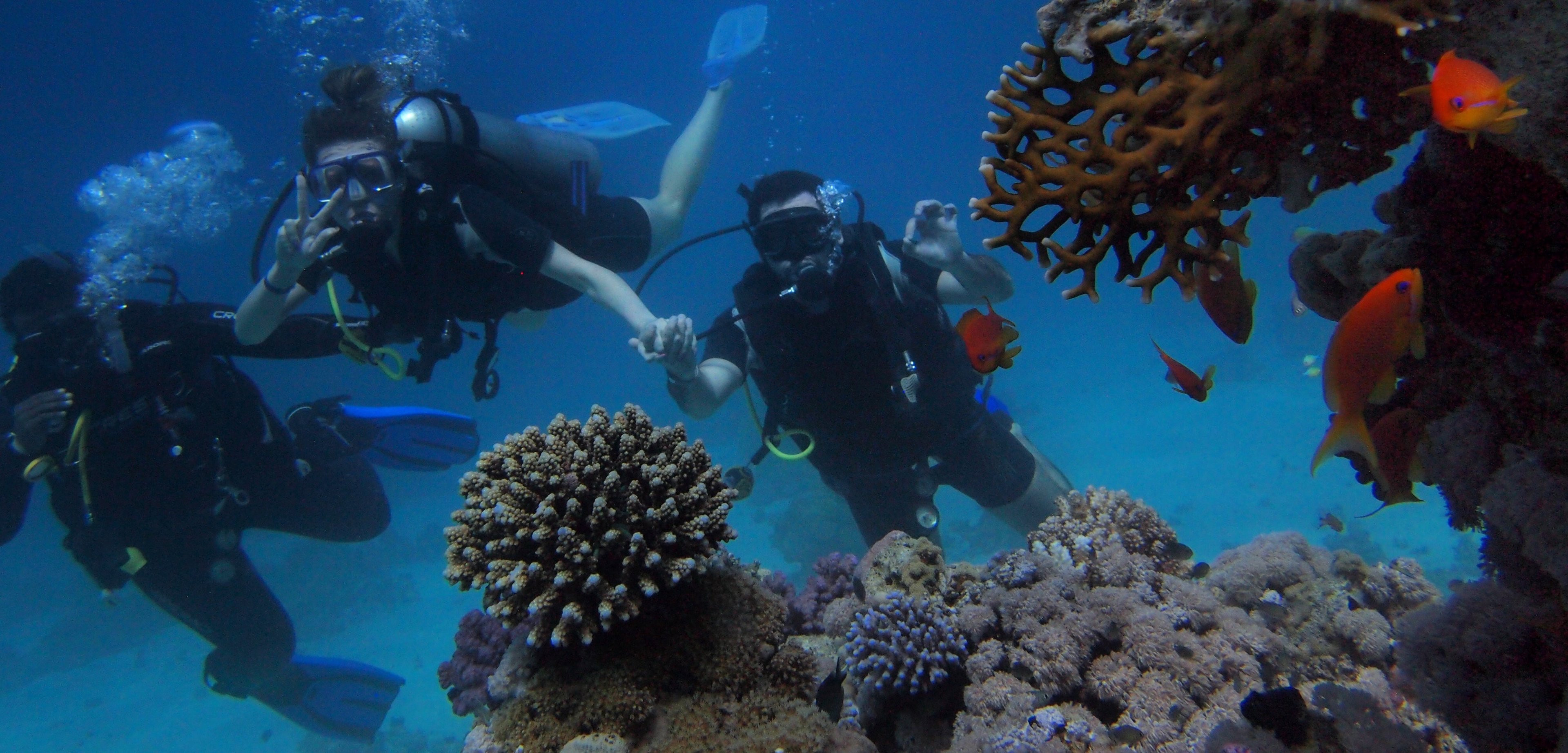 scuba divers by a coral reef
