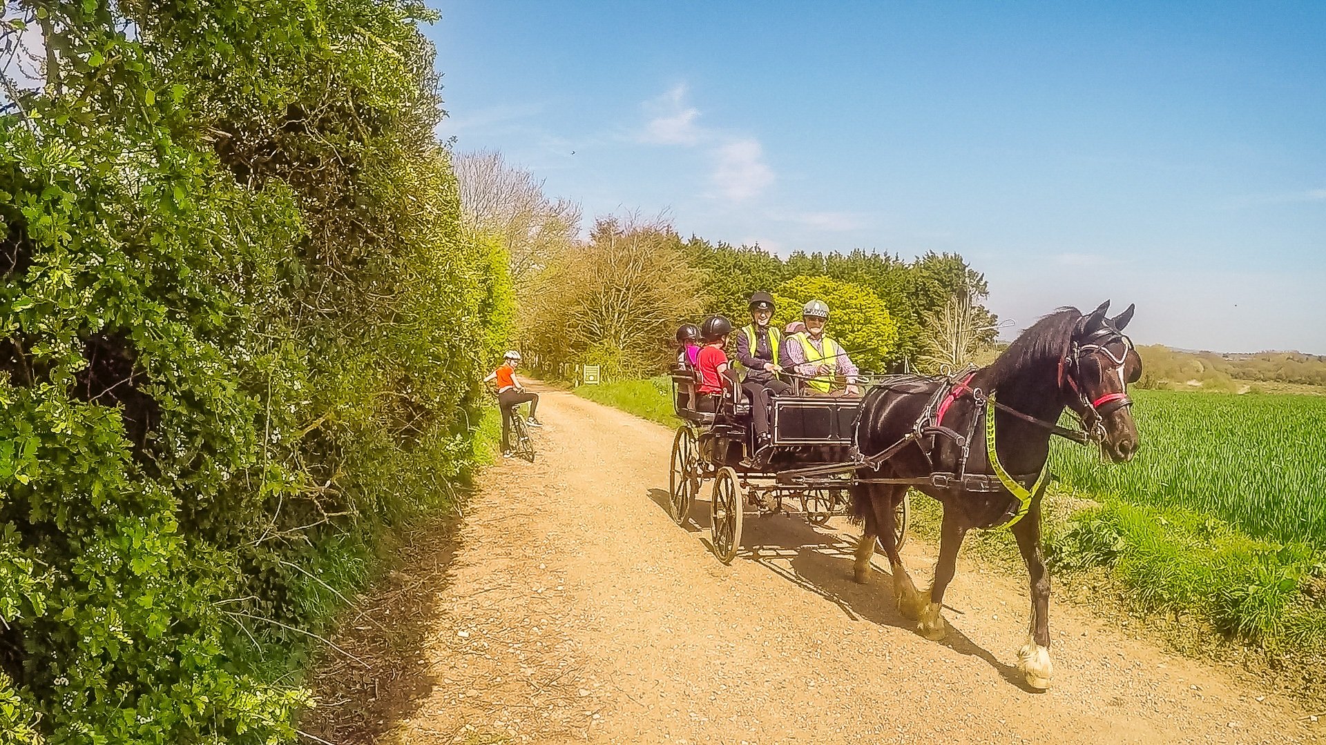 A horse and cart on the Red Squirrel Trail
