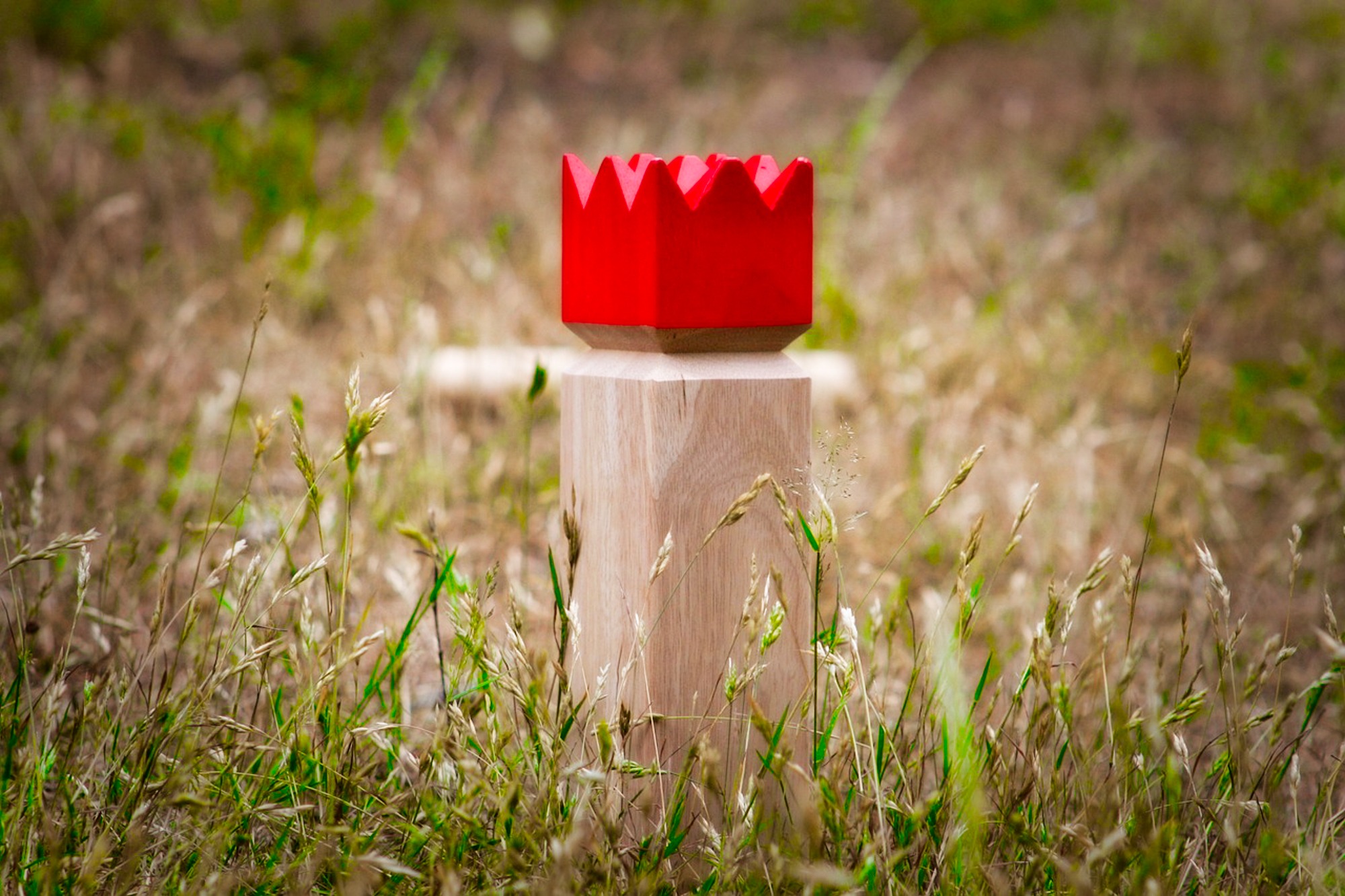 A Kubb King