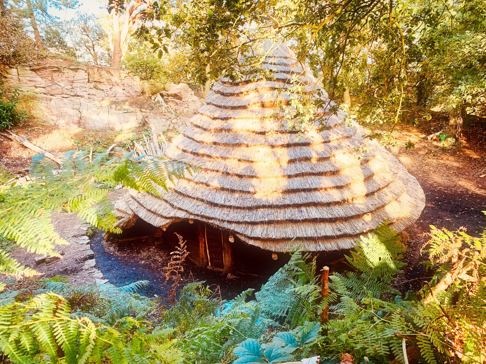 A bronze age round house