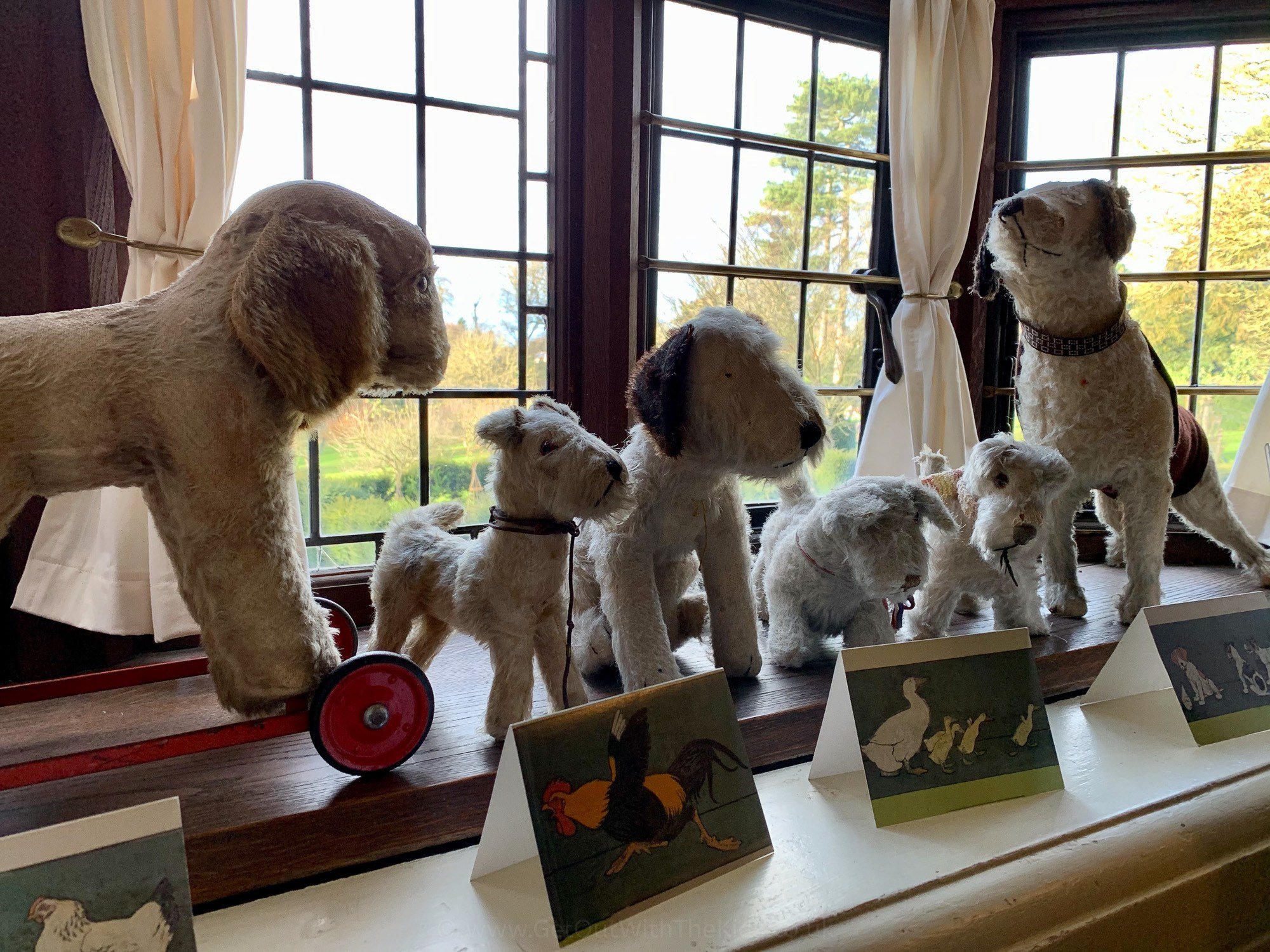 Old Toy Dogs
