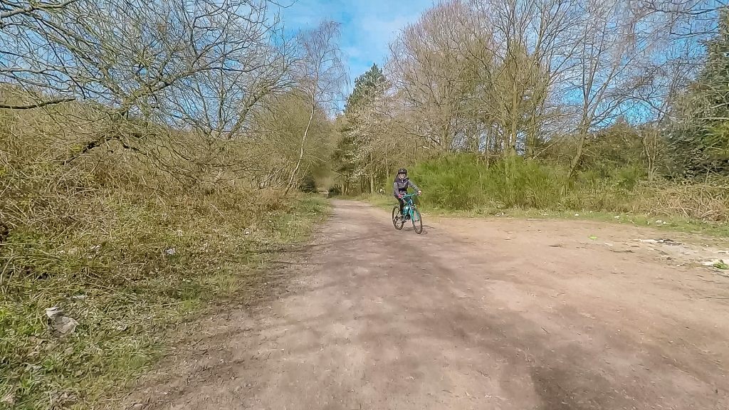 Cycling the Sherbrook Trail at Cannock Chase