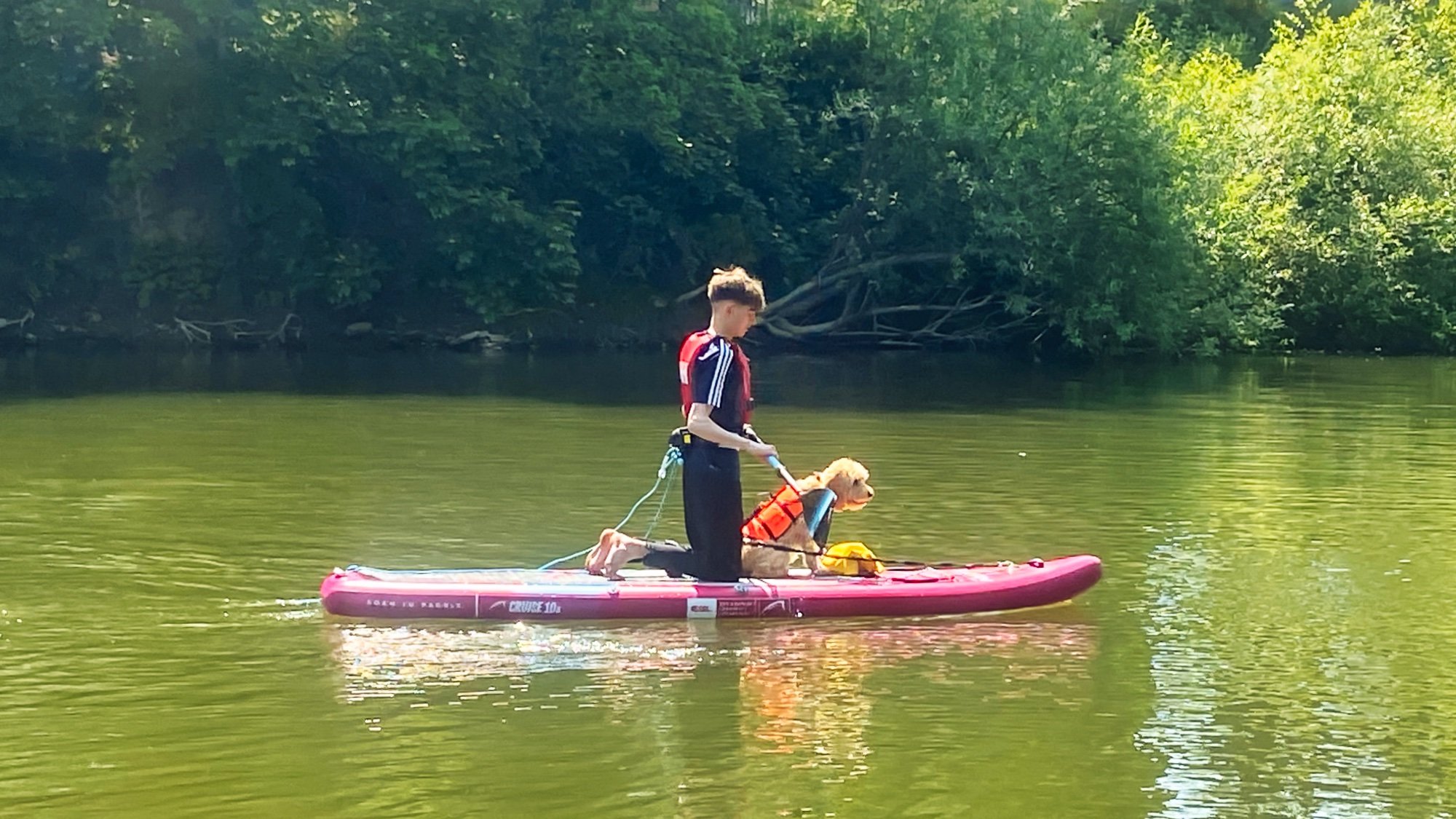 Child and dog on the SUP on a river